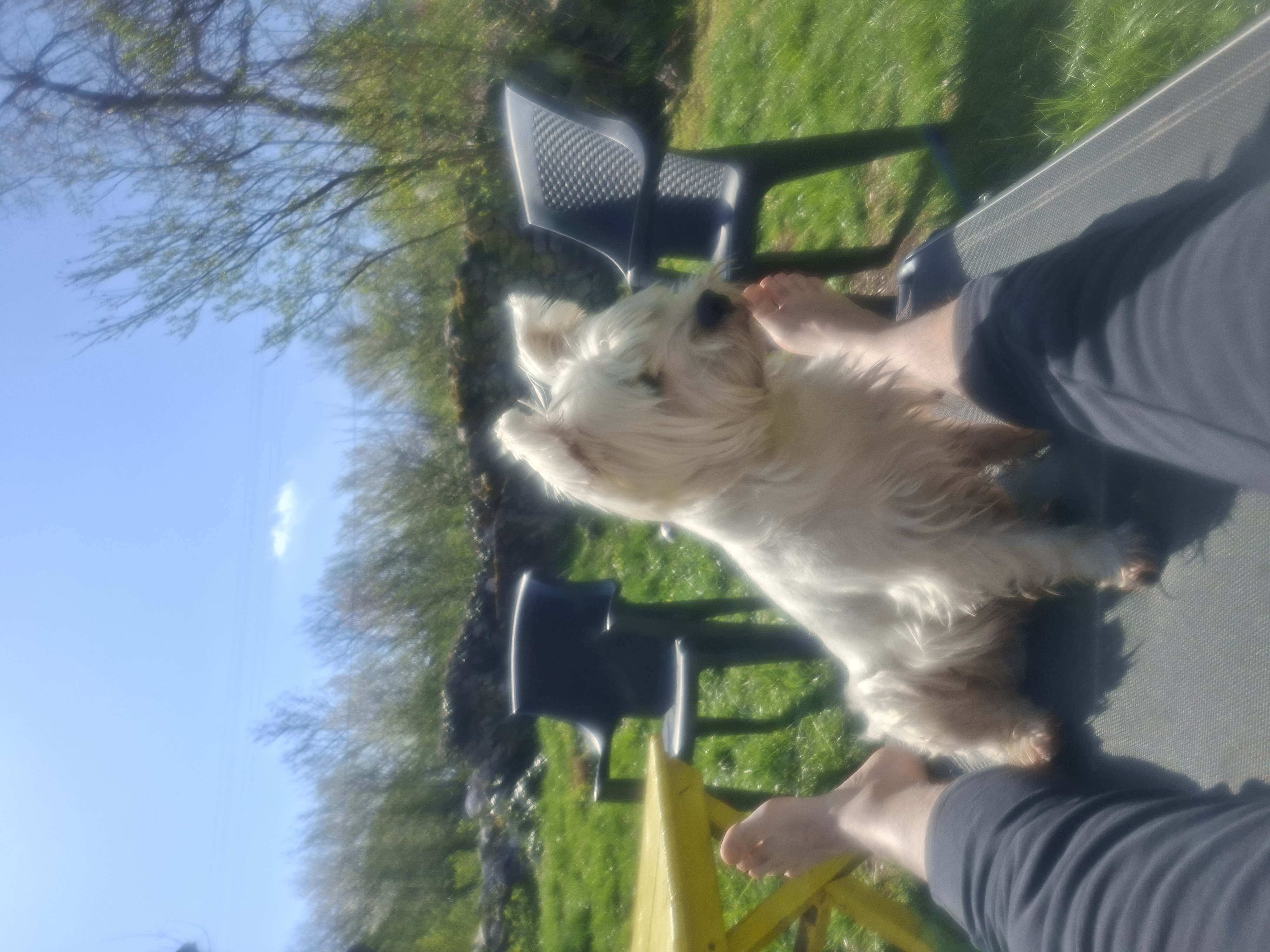 PUKI